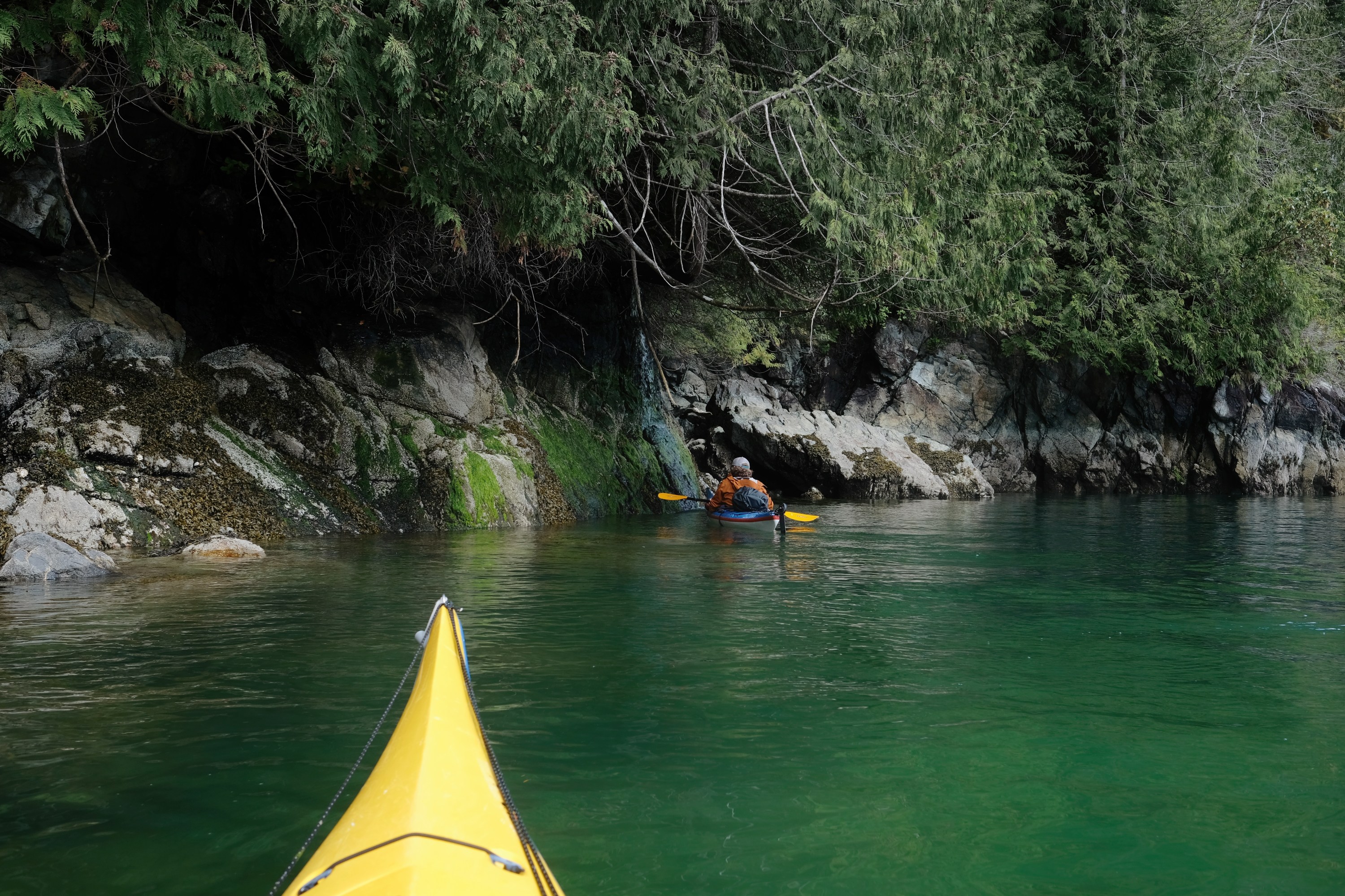 kayaking desolation sound