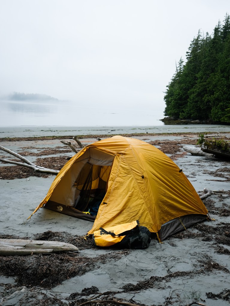meares island kayaking